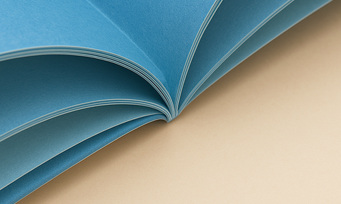 The Girl and the Magical Christmas